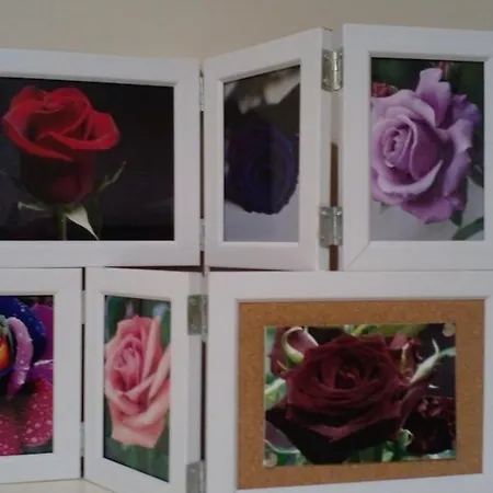 La Rosa Rossa Μπάρι